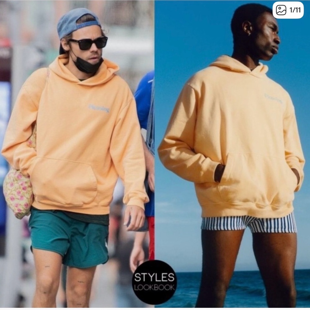 The Pleasing Sunset Hoodie, Large; NWT, Harry Styles